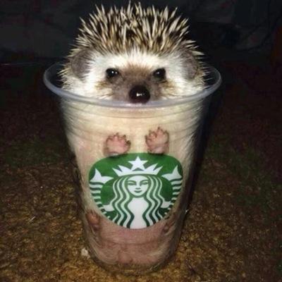 JDonegam's profile picture. 