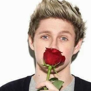 I'm a directioner a nialler and my fave 1D song is stock holme syndrom
