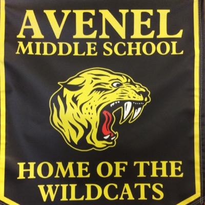 AMS PHYS ED Profile