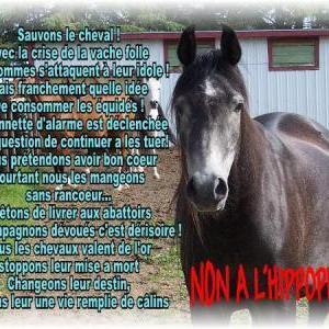 JulianaAumiaux's profile picture. 