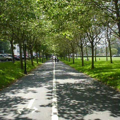 level_brighton's profile picture. We are the Level Communities Forum community group - a platform for all Level users. News, activities and events happening on the Level