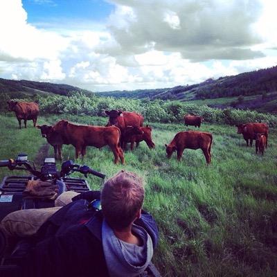 Husband, father to 3 amazing daughters, rancher, plumber and owner/operator of Gyorfi's Plumbing & Heating.
