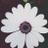 itzmh_'s profile image