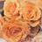 Evas_Garden's profile image