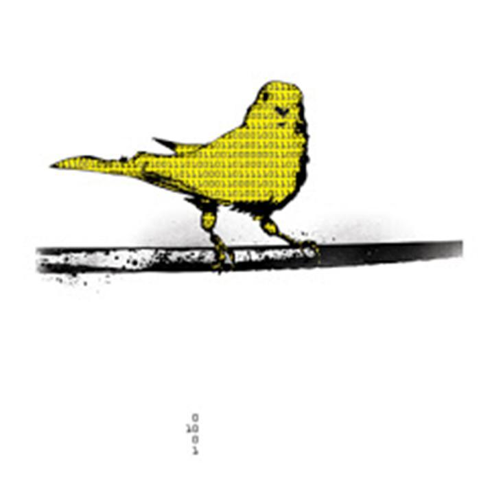 _BinaryCanary_'s profile picture. laptop-woodwinds improvisation duo consisting of @ted_moore and @kyle_hutchins