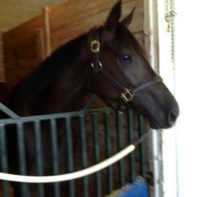 Educator / Asst. Horse Trainer