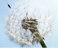 PharmaJobs's profile picture. Global specialist pharma recruitment company