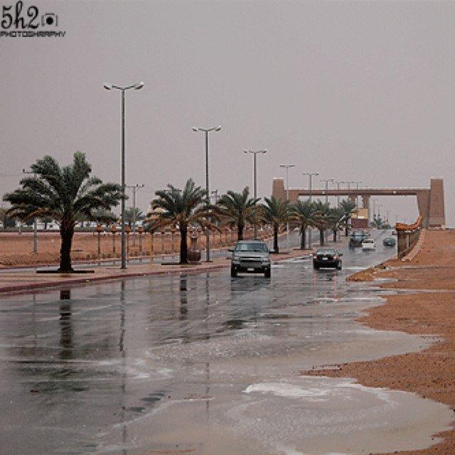 ﺑﻋض اﻟﺟروح ﺗروح وﺗﻣﺣﯾﮬا الاﯾام  وﺟروح ﺗﺑﻗى ﻟﯾن ﺗﻗﺿي ﻋﻟى اﻟروح ../3