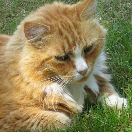 Renaissance Kat. I'm with Dean. Faking it in MA since before Prop 2 1/2 was born. This is a mirror image. NOT AS X AS YOU THINK I AM.