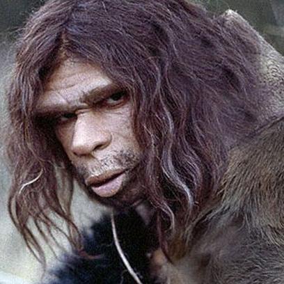 HNeanderthalis's profile picture. I'm a extinct hominid(I have slept for 230.000-28.000 years,I have just wake up and I don't know what to do in this different world)