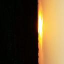 Taylor Cantrell - @taylorc60267976 - Twitter