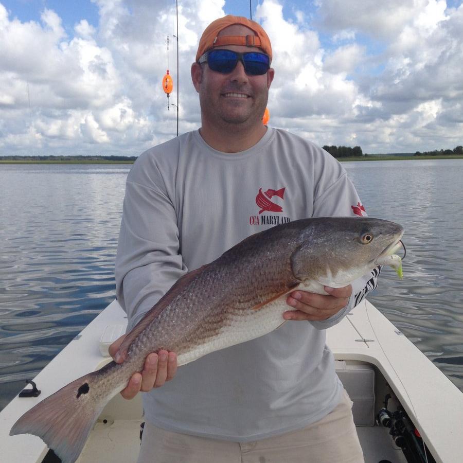 Grew up on the #Chesapeake #Bay and live for #fishing. I am a #conservation minded #fishermen that wants to see positive change in our resources management.