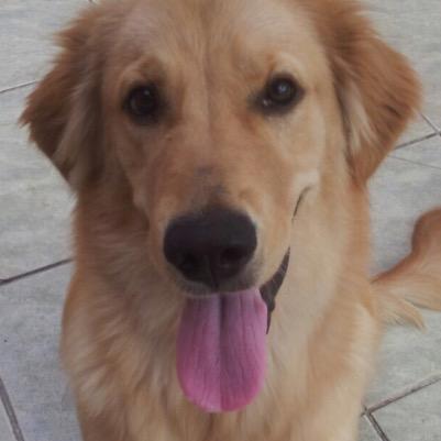 minha mamae é a @_gabiimachado e meu papai é o @pcastagnoli