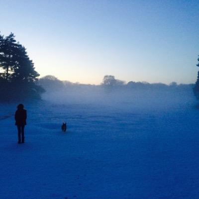 mike_bhgc's profile picture. Proud dad of 2 amazing daughters, husband, BWFC & New England Patriots fan. By the grace of god a Cheshire lad & anti-Tory.