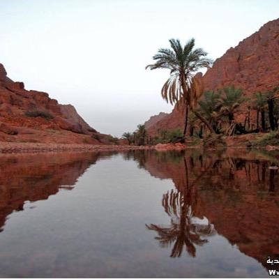 3qar7ael's profile picture. نسوّق لك عقارك بأسرع ما يمكن :: بيع - شراء - تأجير - إدارة أملاك عمائر - فلل - شقق - استراحات - محلات - اراضي - مزارع ... واتساب / 0551233831