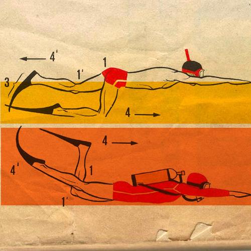 evanvazi's profile picture. 