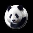 Matthew Paterson ES (@mpes_info) 's Twitter Profile Photo Matthew Paterson ES (@mpes_info) 's Twitter Profile Photo