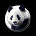 Matthew Paterson ES (@mpes_info) Twitter profile photo