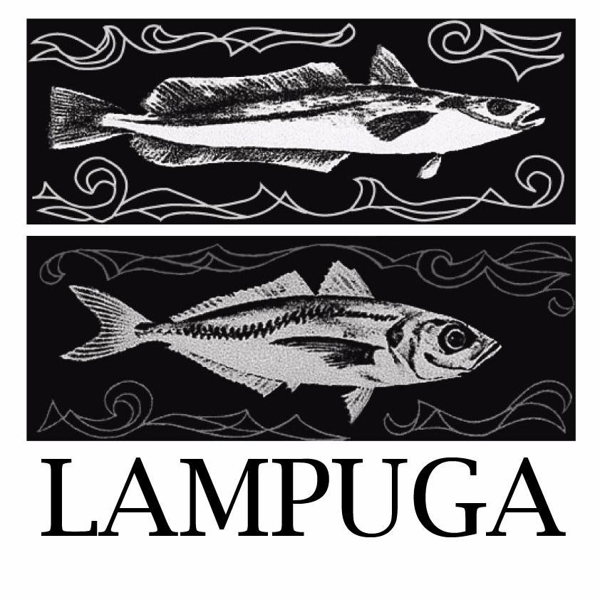 SalonProgreso's profile picture. ¡Síguenos en nuestra cuenta principal, @LampugaMX!