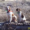 Brandon Cary - @bcarycvtc - Twitter