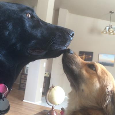 JackelineI's profile picture. 