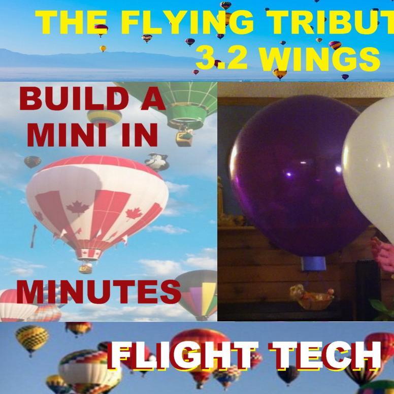 we have been immersed in a unique and thriving balloon culture for the past 7 years. It was a combination of quality design and our passion for flight .