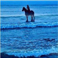 شمس الليل (@mznn89) 's Twitter Profile