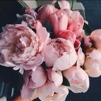 نورة (@sub22423) 's Twitter Profile