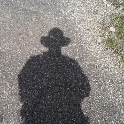 Chaos_Wanderer's profile picture. 