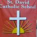 St. David  (@stdavidwcats) Twitter profile photo