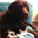 Donna Hussein - @donna_hussein - Twitter