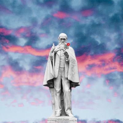 PILproject's profile picture. 