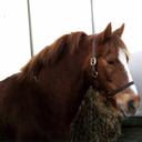 Sheila Daly - @SheilaDaly - Twitter