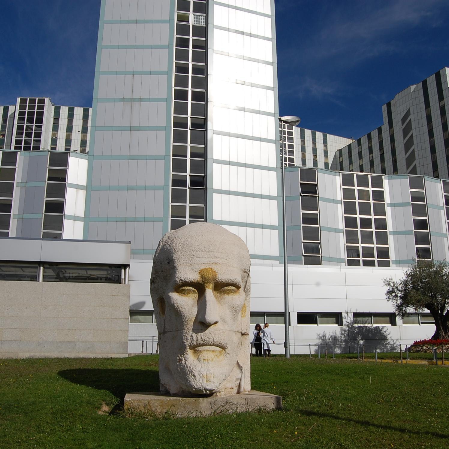 SECCIÓN SINDICAL DEL HOSPITAL RAMON Y CAJAL 913368591