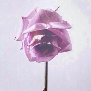 Committee together my friend..☁️.