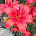 Wendy Lynn Shaffer - @WendyLynnSh - Twitter