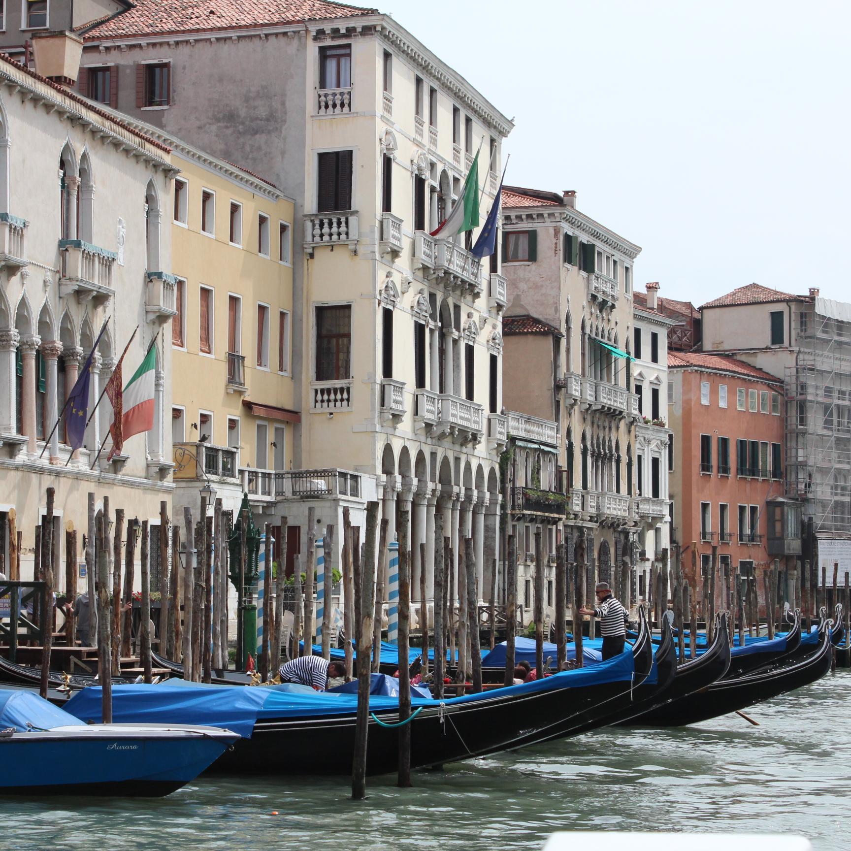 SDanielsUF's profile picture. 