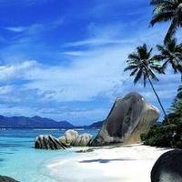 Focus Ocean Indien (@focusilevanille) 's Twitter Profile