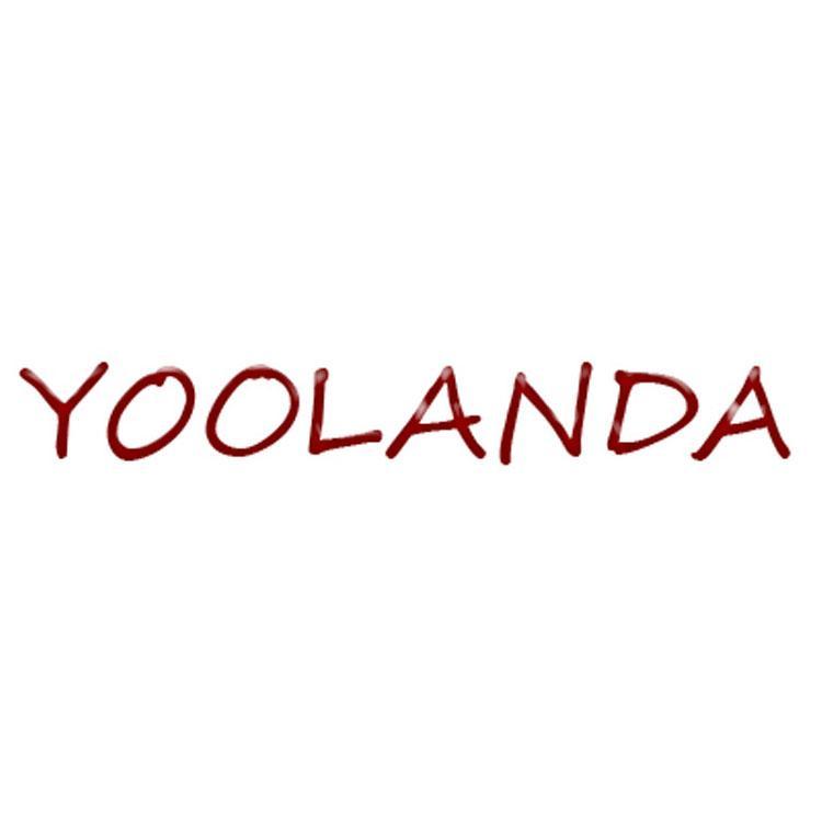 Yoolanda does not sell the success for your business - the success for your business comes with Yoolanda - we build the future of search!