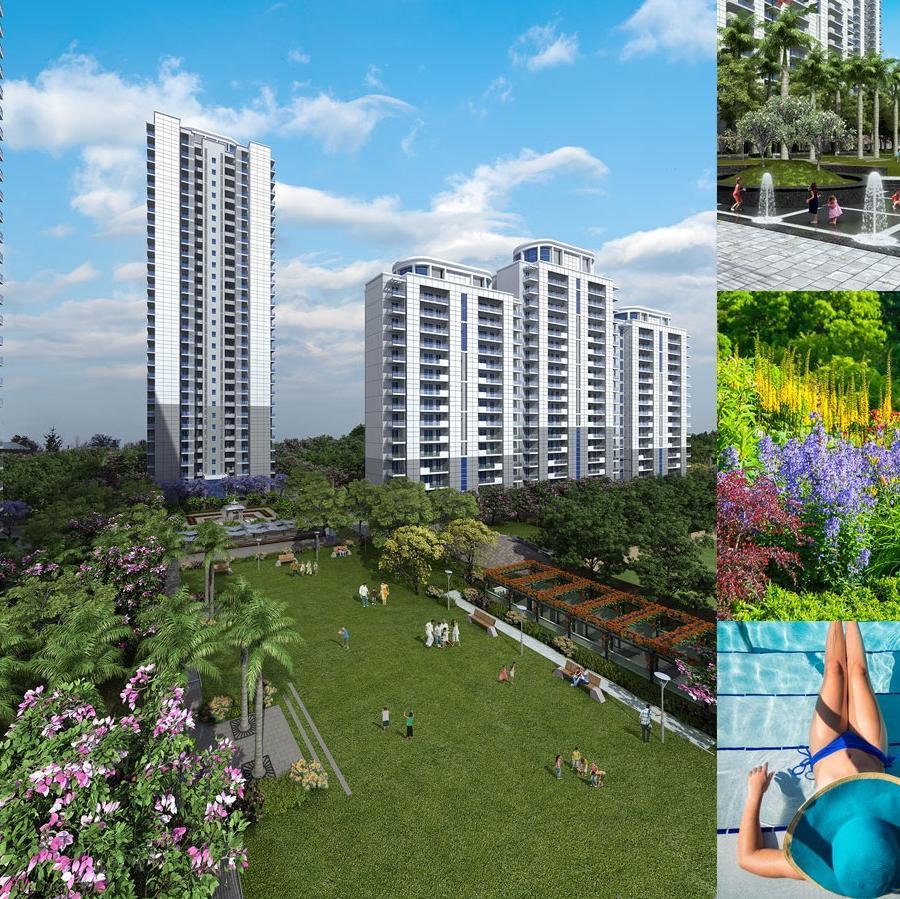 aggestates's profile picture. #Property  #Flats  #Plots  #Duplex  #Apartments #Office space in #Gurgaon.  DLF Original Bookings. Aggestates@gmail.com