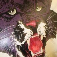 Osgoode Panthers (@othsathletics) 's Twitter Profile