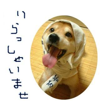 　応援してるぜ⤴️
    ファイターズ　
   公共温泉施設管理者
　今年還暦😫　