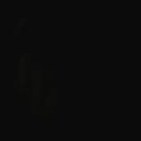 Wanda Crenshaw - @wjc3165559 - Twitter