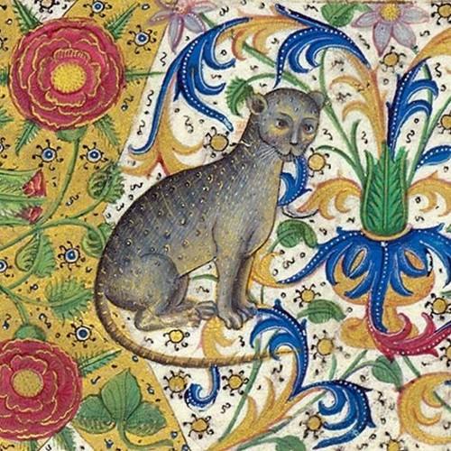 CabbieVivien's profile picture. I retweet lots of pictures of cute animals and stunning landscapes because it's never a bad time to be reminded how beautiful the world is...