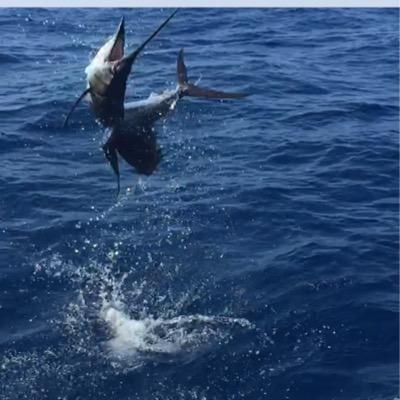 Bobby Speight Profile