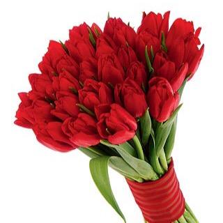 LaPerlaFlor1974's profile picture. 