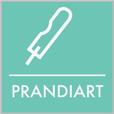 Prandi Artさんのプロフィール画像
