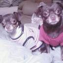 Denise Barberis - @dabarberis - Twitter