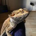 dean wardle - @Deanwardle13 - Twitter