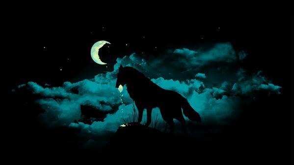 canal de yt 

wolf z